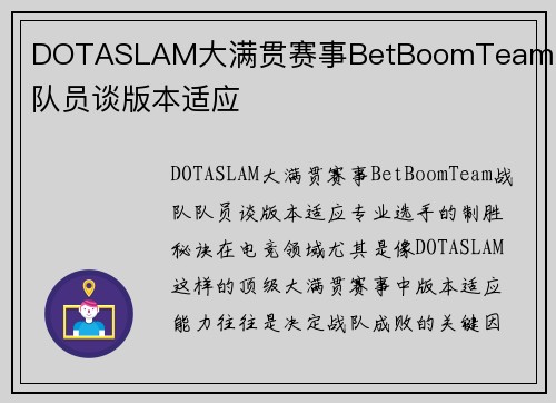 DOTASLAM大满贯赛事BetBoomTeam战队队员谈版本适应