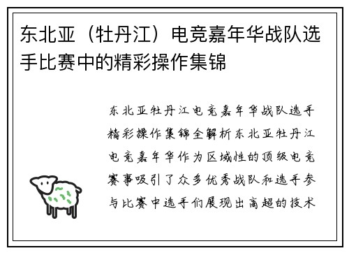 东北亚（牡丹江）电竞嘉年华战队选手比赛中的精彩操作集锦